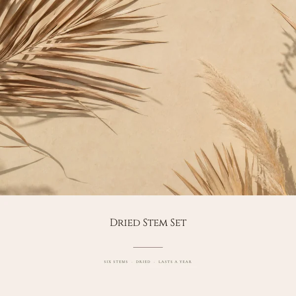 Blush and Oat Elegant 2000×2000 Etsy Listing Photo