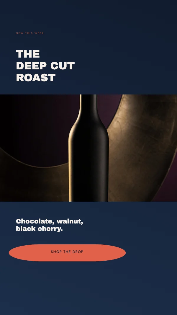 Coral and Navy Modern 1080×1920 Instagram Story Promo