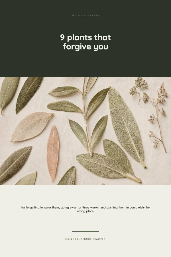 Sage and Bone Clean 1000×1500 Pinterest Pin